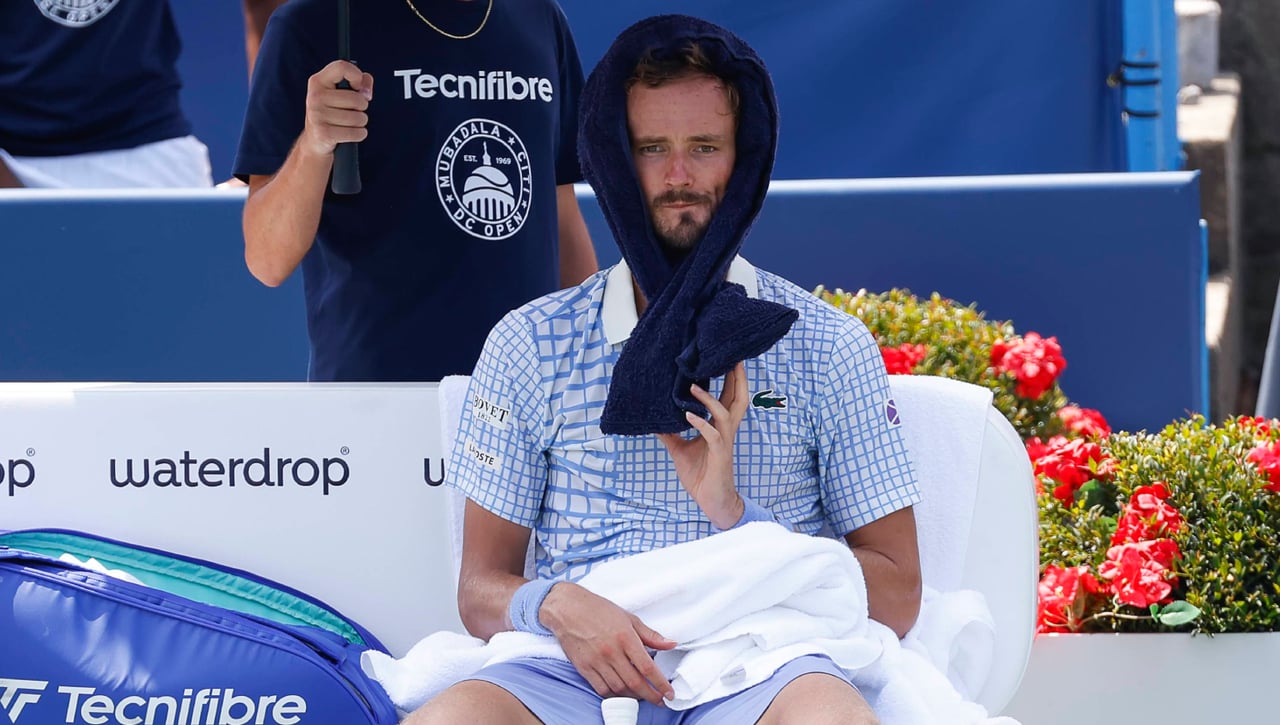 Medvedev anuncia el final de su problema