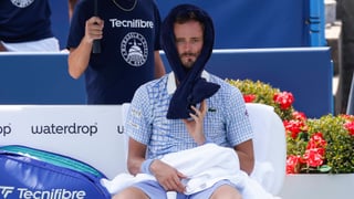 Medvedev anuncia el final de su problema