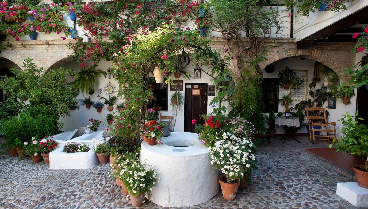 Descubre los patios más visitados de Córdoba