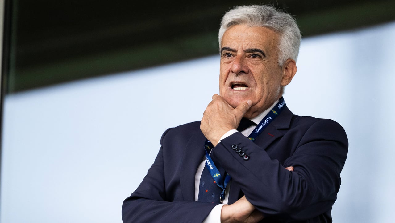 La Federación ya tiene presidente, de momento, pero el lío no ha acabado