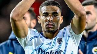 Contactos para la incorporación de Djiku