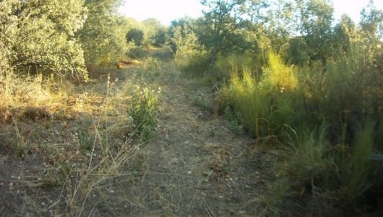 BTT-Ruta 1: Loma de San Miguel, una visita a Alanís