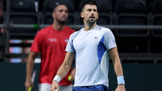  Verdasco confirma lo suyo con Novak Djokovic