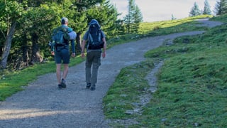 Imprescindibles para ir de excursión a la montaña y el campo en verano