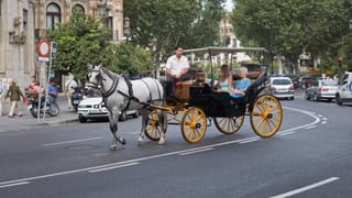 El fin a los coches de caballos en ciudades