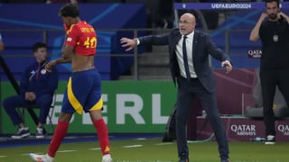 Palo de Luis de la Fuente