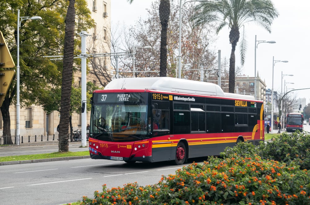 Aviso por estafa para los viajeros de los autobuses de Sevilla