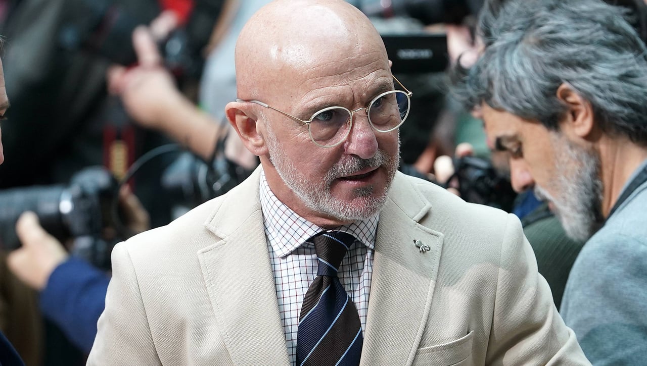 Luis de la Fuente, tajante sobre Íñigo Martínez