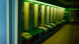 El alcance de la lesión de Rui Silva y las primeras sensaciones con Isco Alarcón