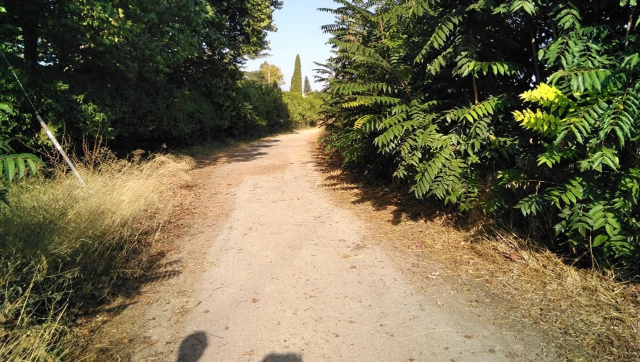 Camas - Aznalcóllar: Iniciación a la Vía de La Plata