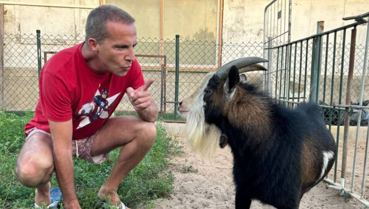 El hundimiento de Cristóbal Soria por hacer "el ridículo"