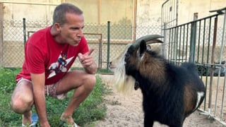 El hundimiento de Cristóbal Soria por hacer "el ridículo"