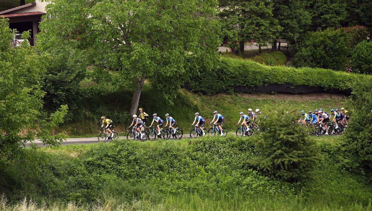 Giro de Italia 2025 | Etapa 13, recorrido, perfil, horarios y dónde ver en TV hoy la etapa entre Rovigo y Vicenza