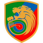 Miedz Legnica